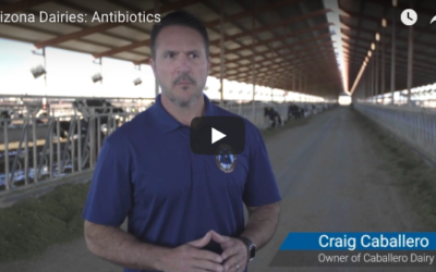 Truth: Antibiotics and Milk