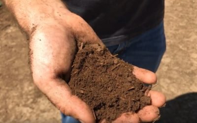 Sustainability on the Farm: Composting