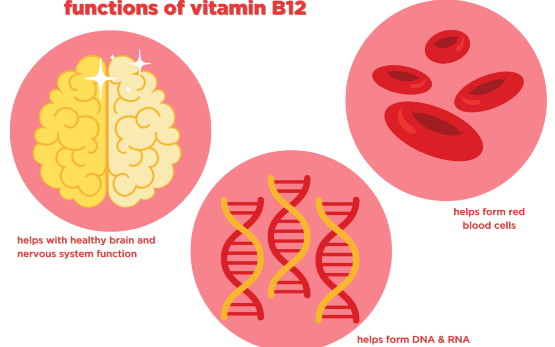 Vitamin B12: Functions and Food Sources