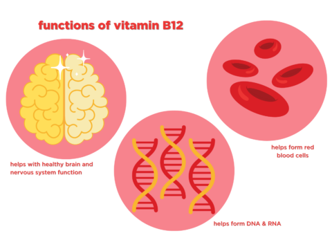 Vitamin B12: Functions And Food Sources - Arizona Milk Producers